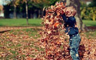 herbst rahn - immobilien