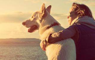 22 01 01 Depositphotos 73439559 XL klein Copyright andreaobzerova