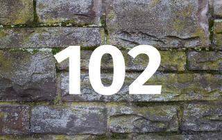 background gc9a529895 1920 klein bearb Copyright Enzo V