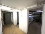 Keller rechtes Haus - Sanierungsbedürftige Doppelhaushälfte auf großem Grundstück in Dortmund-Brackel